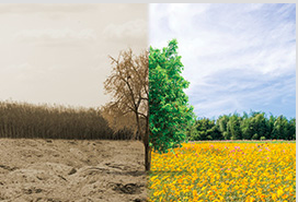 HOS02005RU22-N Sustainability:3:253 2025-2026